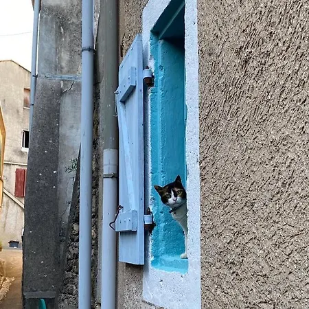 Homestay szállás La Vanniere