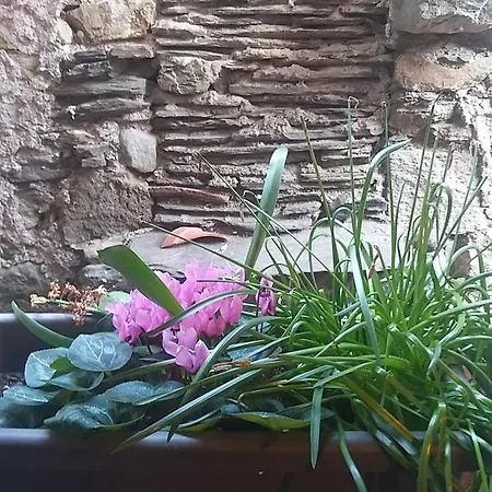 La Vanniere Homestay szállás