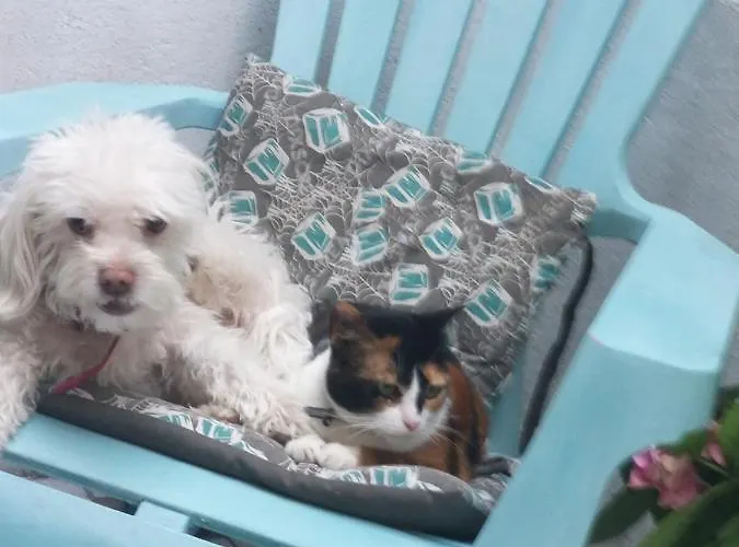 La Vanniere Quarto em Acomodações Particulares